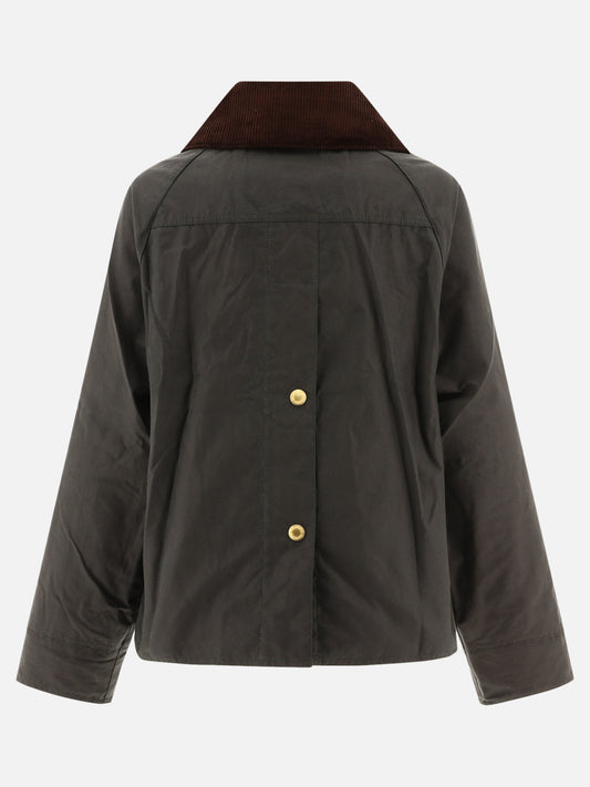 Raincoats & Trench coats Logo Green - Barbour Women | PLP | VIETTI Online Store | 2