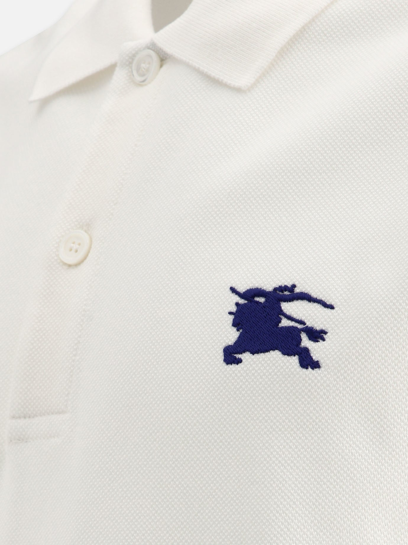 Polo in cotone