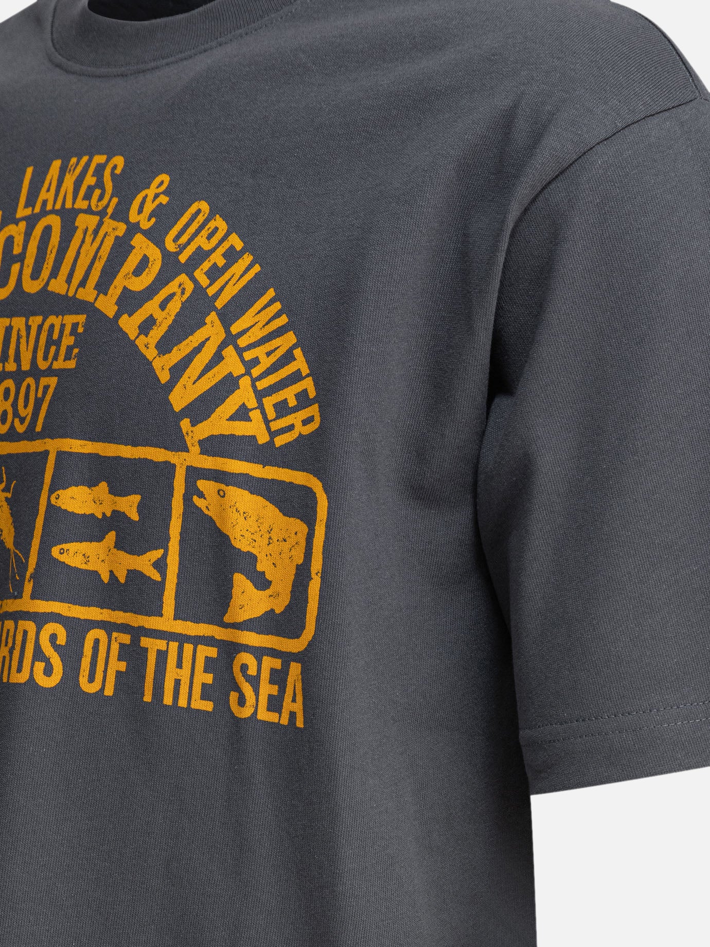 T-shirt girocollo Print  Blu - Filson Uomo | PDP | VIETTI Online Store | Zoom-Modal_4
