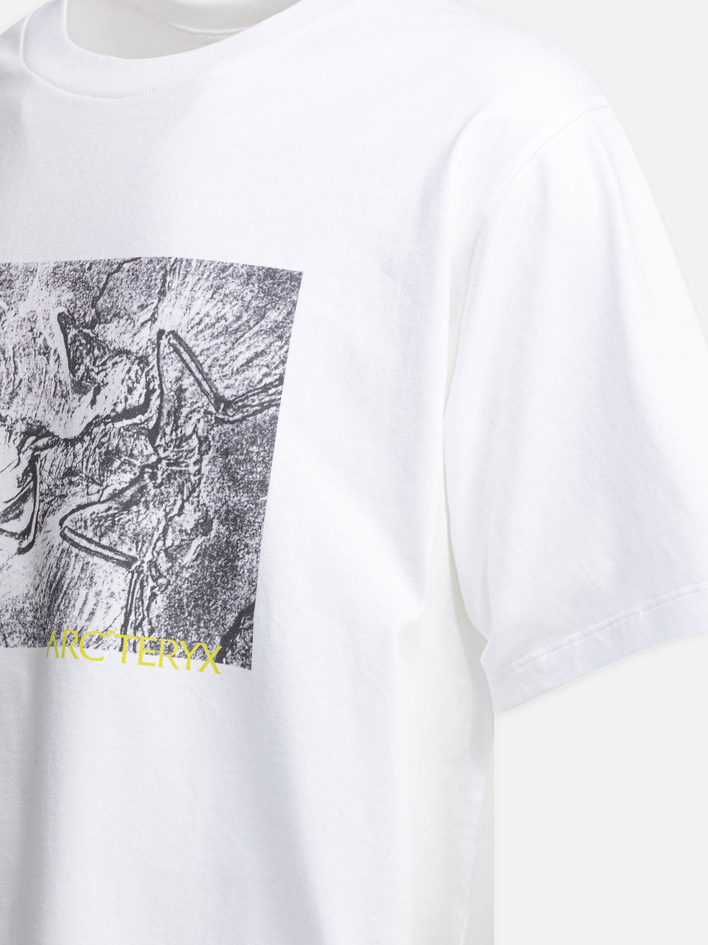 Crewneck t-shirts Graphics  White - Arc'teryx Men | PDP | VIETTI Online Store | Zoom-Modal_4
