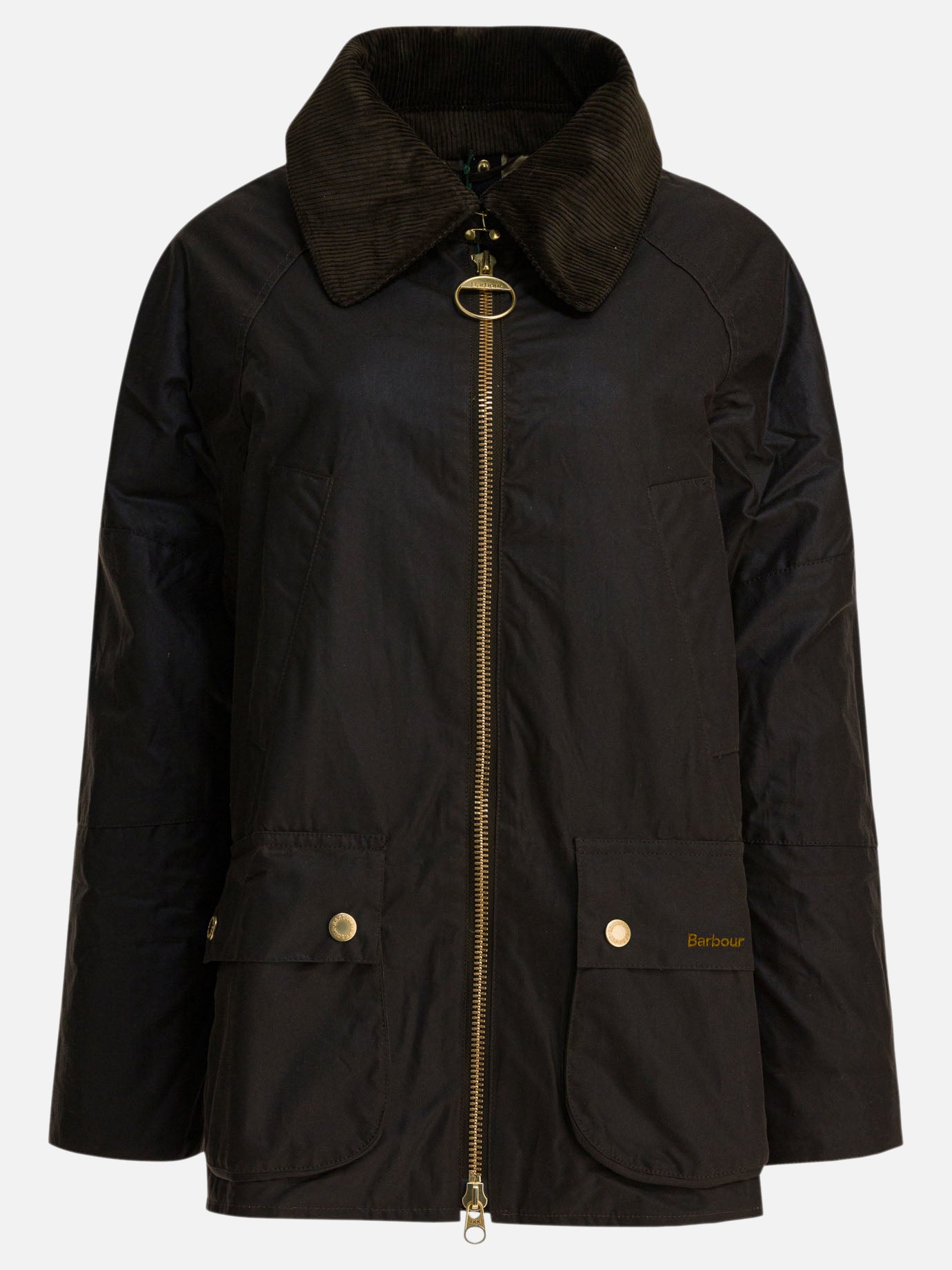 Parkas Logo  Green - Barbour Women | PDP | VIETTI Online Store | thumbnail