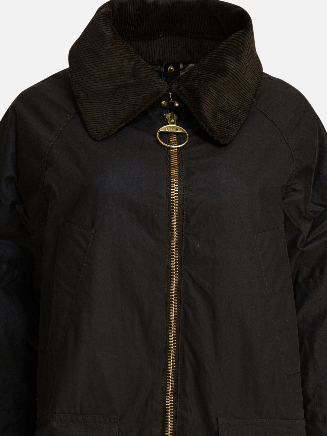 Parkas Logo  Green - Barbour Women | PDP | VIETTI Online Store | Zoom-Modal_3

